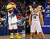 March Madness: Sweet Sixteen Mascot Quiz