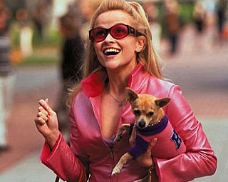 Lifestyles of Four-Legged and Famous: In the LINK of an Eye!