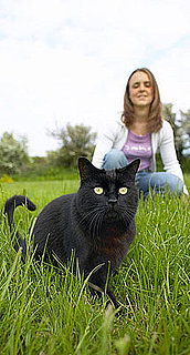 Which Personality Does Your Cat Have?
