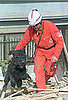 To the Rescue: Earthquake Safety For Pets