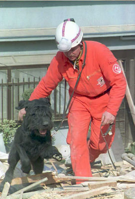 To the Rescue: Earthquake Safety For Pets