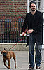 Photos of Watchmen Star Matthew Goode and His Boxer Puppy In Dublin, Ireland