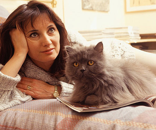 Do You Agree With the Top 10 Cat-Friendly Cities?