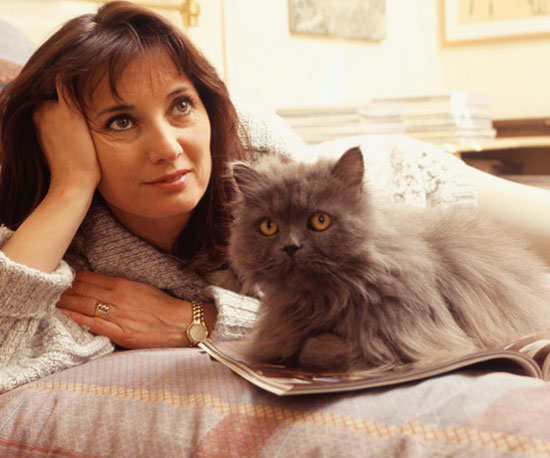 Do You Agree With the Top 10 Cat-Friendly Cities? Do You Agree With the Top 10 Cat-Friendly Cities?