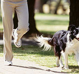 K9 Time: Exercising With Your Pooch