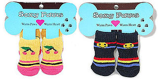 Soxy Paws: Spoiled Sweet or Spoiled Rotten?