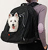 P@W . . . Lucky Dog!