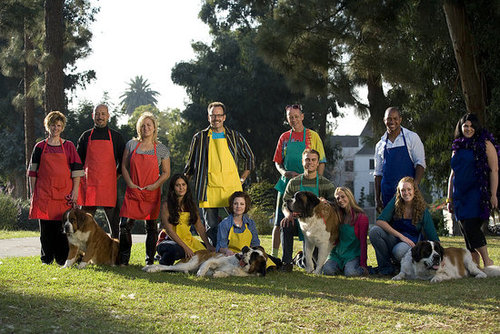 Season Two! Meet the Groomer Has It Contestants 