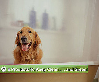 6 Products to Keep Clean . . . and Green!