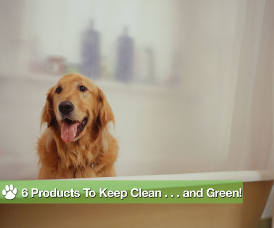 6 Products to Keep Clean . . . and Green! 6 Products to Keep Clean . . . and Green!