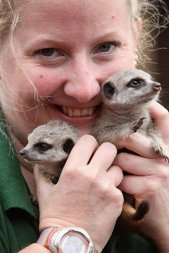 Lia and Roo Make a Big Debut! Lia and Roo Make a Big Debut!