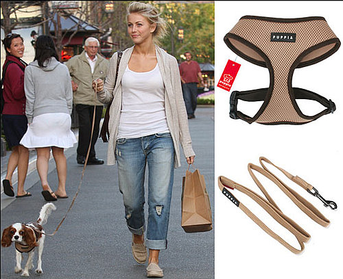 Found! Julianne Hough's Harness Set
