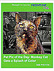 Have You Submitted Your Adorable Pet Photos Yet?!