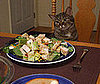 Pet Pic of the Day: Scooter's Ready to Mix It Up