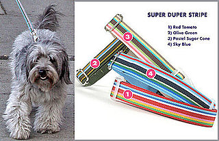 Found! Follow Thurman Murman's Super Stripe Lead