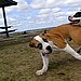 8. Running Into Object