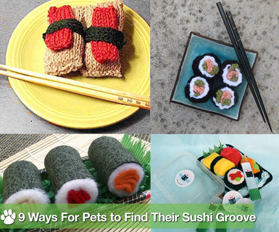 Sushi For Dogs, Sushi For Cats: Sushi-Themed Toys and Treats for Pet Sushi For Dogs, Sushi For Cats: Sushi-Themed Toys and Treats for Pet