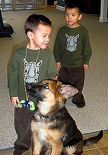 What's Your Take: Jon Gosselin's Dog Treatment Comment?