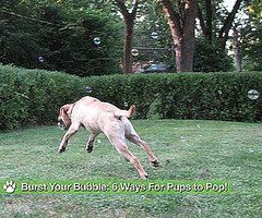 Bubble Blowers For All Play Styles and Spaces Bubble Blowers For All Play Styles and Spaces