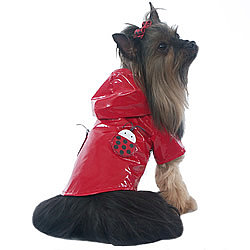 Lady Bug Dog Raincoat ($15)