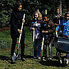 How-To: Start Your Own Victory Garden