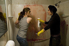 Movie Review: Sunshine Cleaning Movie Review: Sunshine Cleaning