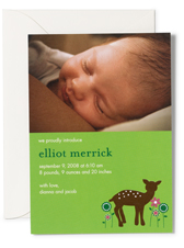 Lil Links: Make Custom Photo Birth Announcements Online