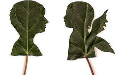 Lil Links: Honor Earth Day With a Natural Silhouette Lil Links: Honor Earth Day With a Natural Silhouette