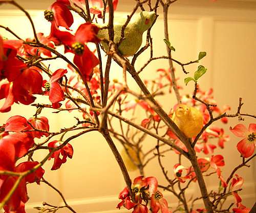 Decor Decor