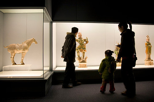 The Museum The Museum