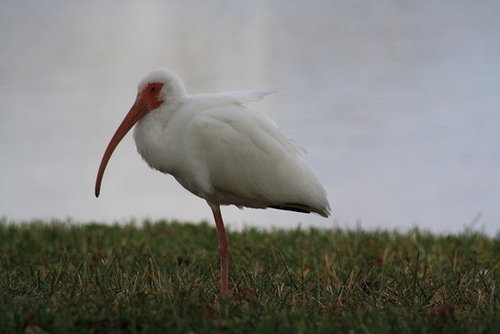 West Palm Beach in February