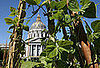 10 Ways the Stimulus Package Is Funding Eco Projects