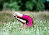 Yoga Ashrams Offer Cheap Rent and Alternative to Being Homeless