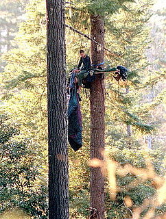 Environmental Extremist Groups: 8 Acts of Ecoterrorism