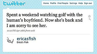 Tweet Nothings — From a Fish!