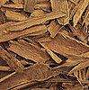 What is Cassia?