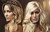 The Hills Beauty Quiz: Episode Eight, "Father of the Bride" 