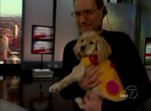 Oprah's New Pup, Sadie Oprah's New Pup, Sadie