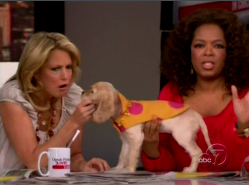 Oprah's New Pup, Sadie Oprah's New Pup, Sadie