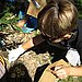 Crime Scene Investigation 