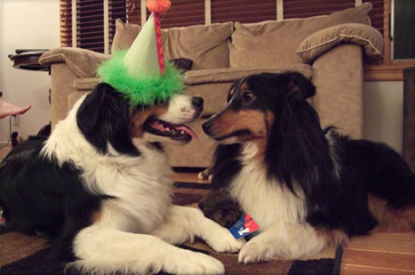 Party Pals Pucker Up Party Pals Pucker Up