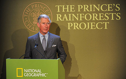 Watch Prince Charles's Rainforest Campaign Video Starring Prince William, Prince Harry, Daniel Craig, Harrison Ford Et Al