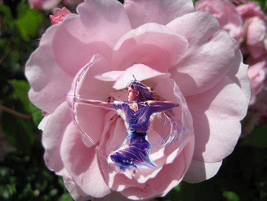 Sagittarius 