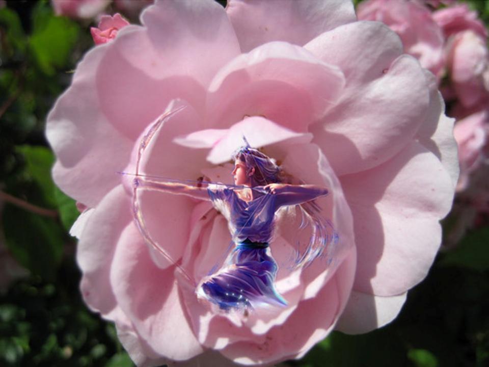 Sagittarius Sagittarius