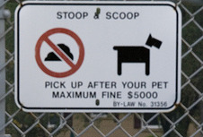 For dog owners (obviously)--how many times does your dog go out?