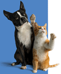 Tell Us Who's Cuter For a Chance to Win!