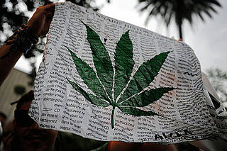Marijuana Supporters Think Legalization Is Coming