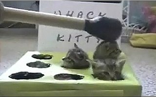Happy Caturday! 