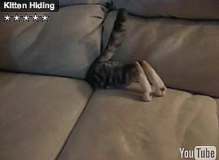 Happy Caturday!