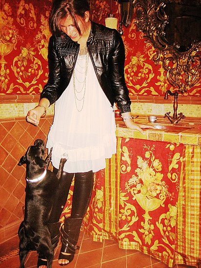 Leather and Ice